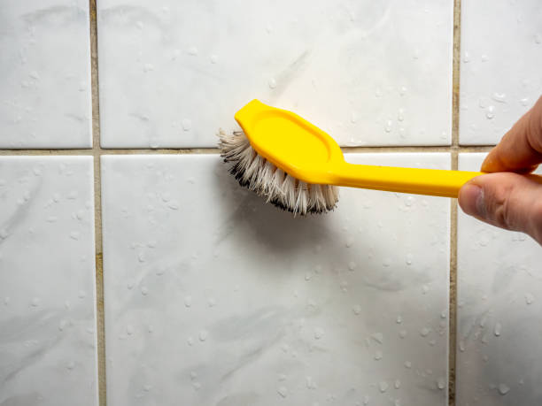 Best Commercial Mold Removal  in Northumberland, PA